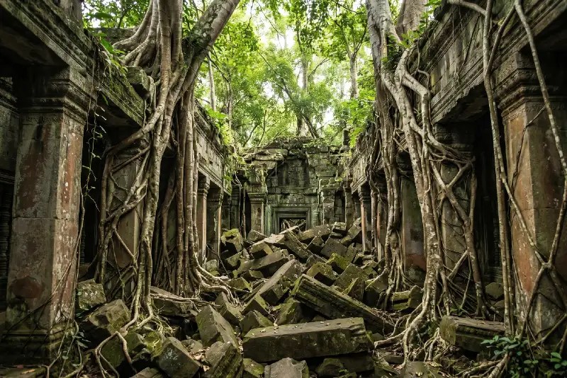 Beng Mealea envahi par la jungle, pierres effondrées